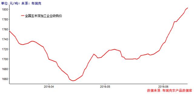 华北无粮？玉米临储政策积弊重重！