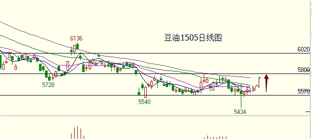 肖雷：1月22日主力品种早评