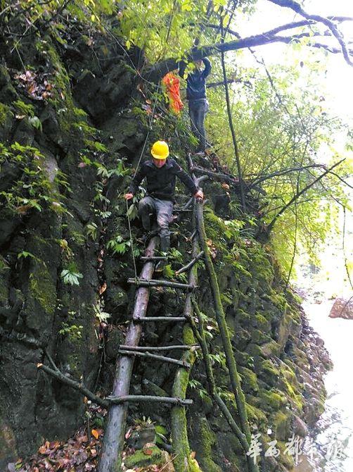 原始森林里，有些地方十分陡峭，给救援带来极大困难。