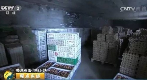 石家莊市鹿泉區(qū)會(huì)元養(yǎng)雞廠負(fù)責(zé)人 謝振中：經(jīng)銷商四天來拉一趟，按部就班就是這樣拉，年前因?yàn)樾星椴缓枚纪Ａ恕?/></p><p>　　石家莊市鹿泉區(qū)會(huì)元養(yǎng)雞廠負(fù)責(zé)人 謝振中：經(jīng)銷商四天來拉一趟，按部就班就是這樣拉，年前因?yàn)樾星椴缓枚纪Ａ恕?/p><p>　　為了減少虧損，養(yǎng)雞廠加快了蛋雞的淘汰，對(duì)原本600多天才到淘汰期的蛋雞進(jìn)行了提前淘汰，兩個(gè)月的時(shí)間，原本6萬多只的蛋雞存欄量現(xiàn)在只剩下了3萬5千多只。</p><p>　　<img rel=