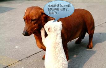 股災(zāi)周年祭： 