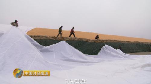 中國2億噸玉米庫存“擠爆”倉庫 堪稱“堰塞湖”