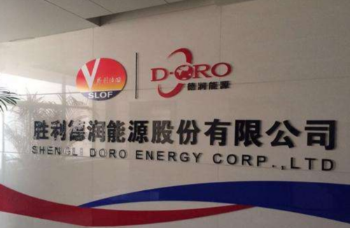 勝利德潤能源股份有限公司