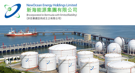 新海能源集團有限公司