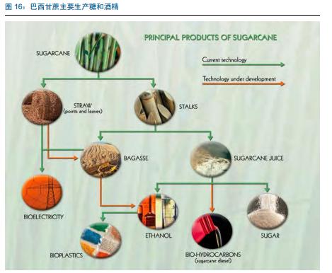 糖產(chǎn)業(yè)必讀:產(chǎn)量下行價(jià)格上漲 深度報(bào)告推薦收藏