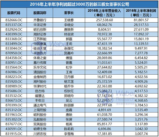 2016年上半年凈利潤(rùn)超過(guò)3000萬(wàn)的新三板女董事長(zhǎng)公司（wabei.cn配圖）
