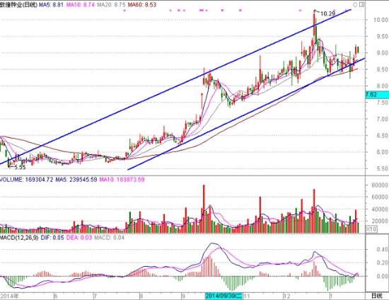 查看更多精彩圖片