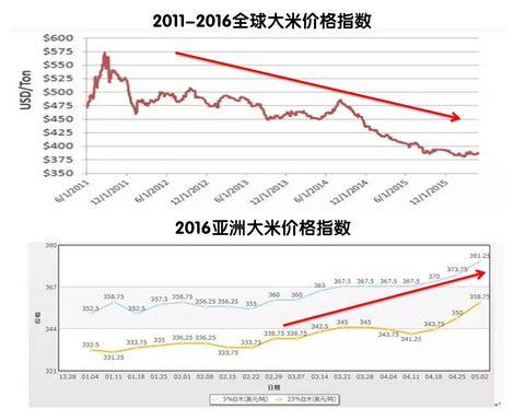 后厄尔尼诺时代：大米你要上天了吗？