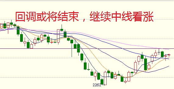 5月11日操作建议