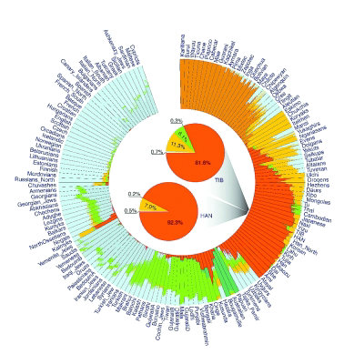 　　原文配图：文中图为青藏高原人群的现代人类遗传构成解析图。其中，TIB代表青藏高原人群；HAN代表汉族人群；不同的颜色代表不同的遗传成分，青藏高原人群和汉族共享东亚主题成分（红色）和西伯利亚中亚成分（橙色），但是青藏高原人群比汉族具有更多的南亚成分（绿色）。