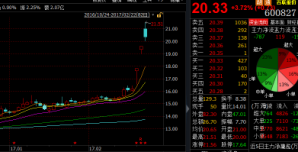 (百聯(lián)股份和聯(lián)華超市至今的漲幅都超過20%)