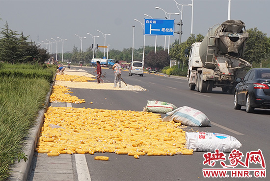 马路上到处是玉米。