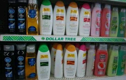 然而，如果你把美國的一元店想象成中國的一元店，那可就大錯特錯了。美國的這家 DOLLAR TREE 是美國著名的一元店，其大部分商品都是一元，不僅真正做到了物美價廉，而且還是美國的 500 強企業(yè)，目前在美國及加拿大有近 5000 家連鎖店。