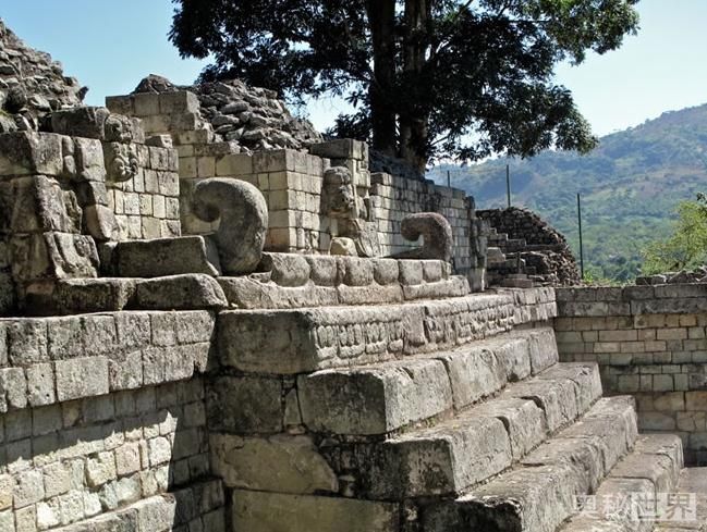 玛雅文明消失之谜 墨西哥发现千年古墓 