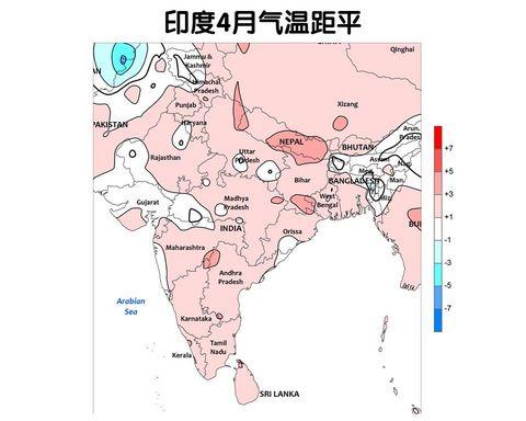 后厄尔尼诺时代：大米你要上天了吗？