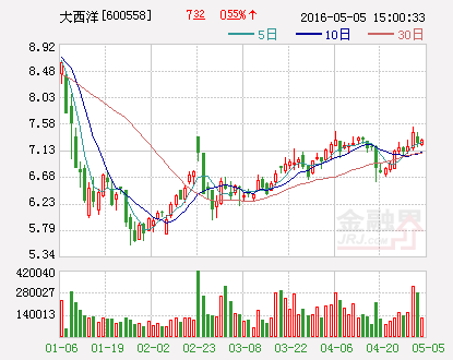 大西洋：为控股子公司申请3000万元综合授信提供担