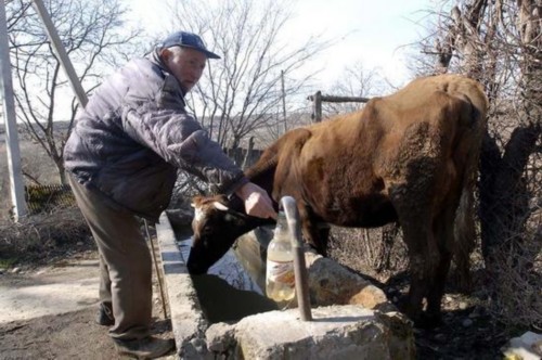 農(nóng)村地區(qū)的貧困是案件發(fā)生的深層次原因