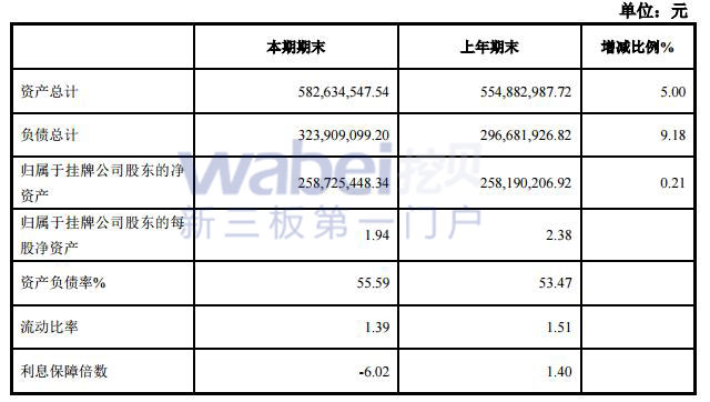 ST鑫秋資產(chǎn)負債表