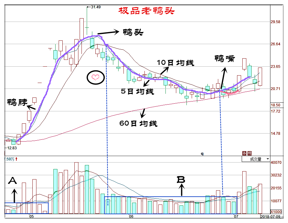 老鸭头战法要点