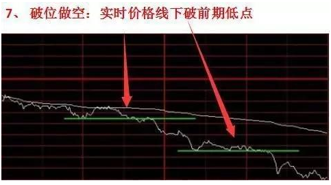 28204906spbv.png