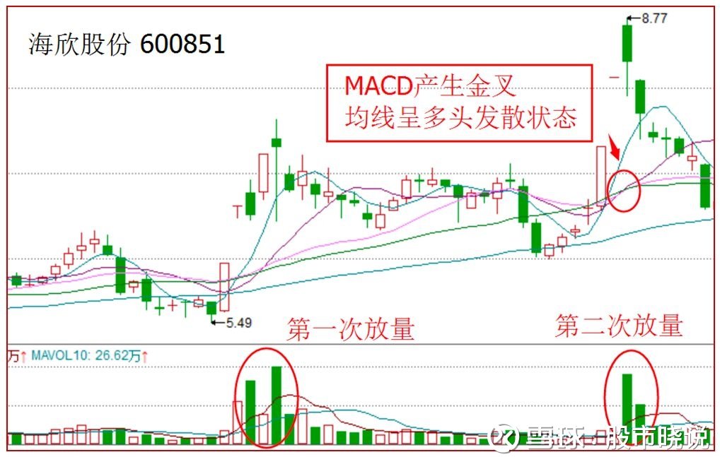 海欣股份(600851)聊