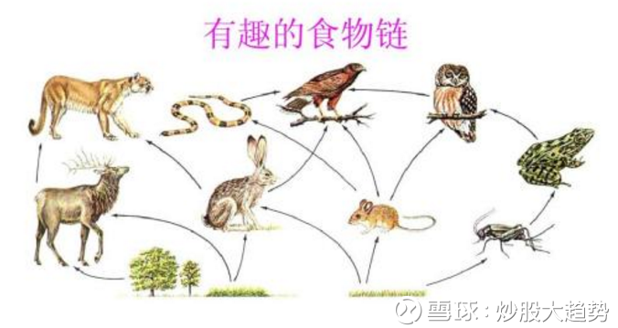 14101713lfwj.png
