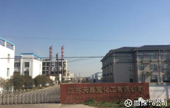 化工园区运营公司,化工园区运营公司组织架构图片