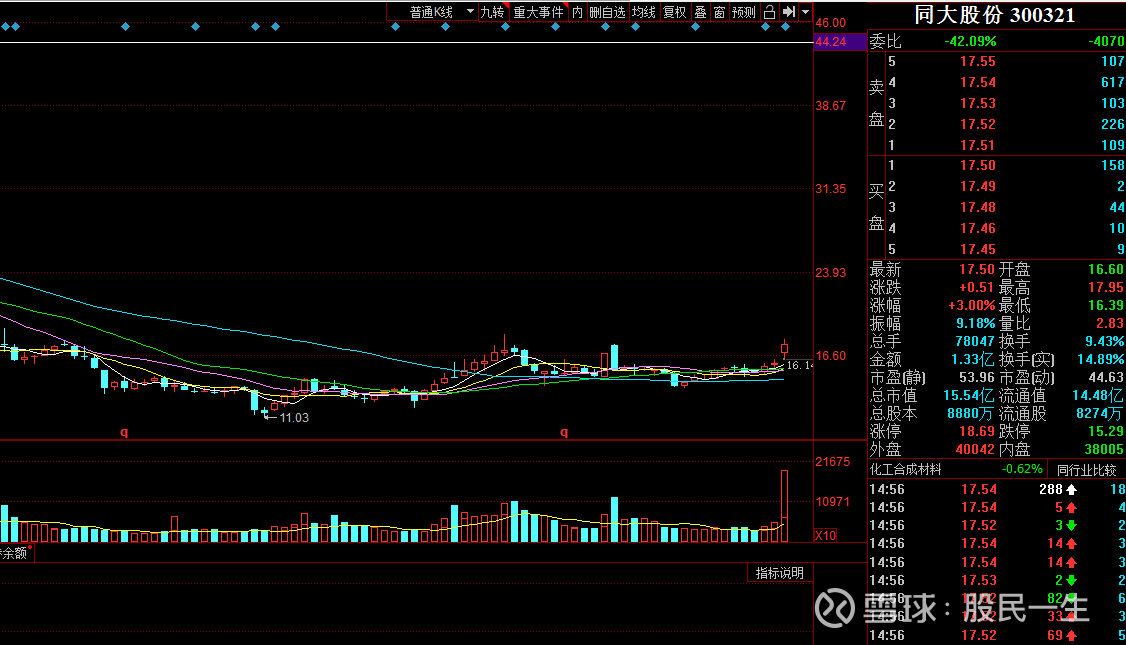 同大股份(300321)聊吧