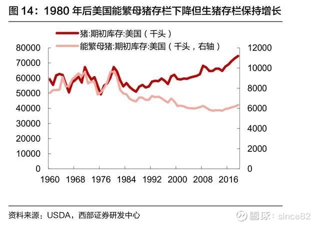 中国股市猪肉股龙头集中的逻辑