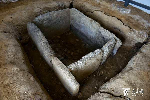 原文配图：哈巴河托干拜2号墓地的一座石棺。