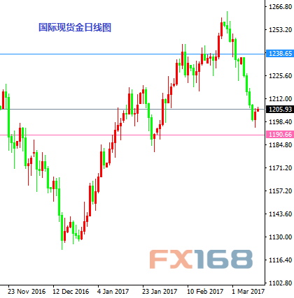 (国际现货金日线图 )