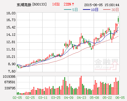 东湖高新：为全资子公司授信提供担保