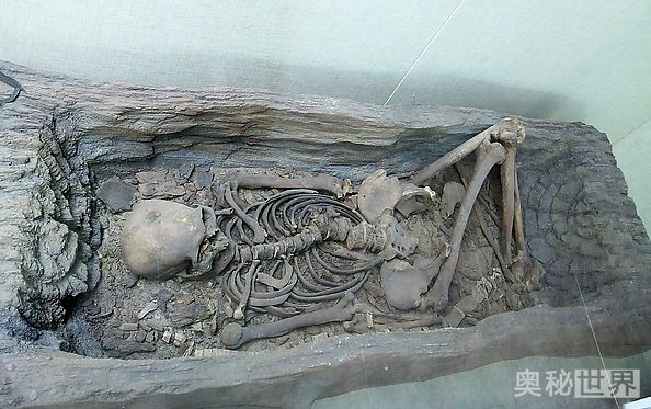 内蒙古呼伦贝尔地区发掘出６座独木棺遗址