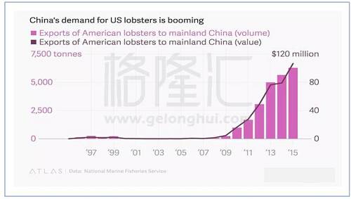 “中國(guó)吃貨終于吃龍蝦了，緬因州的漁民賺翻”