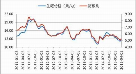 魯證期貨(周報(bào))：玉米高位震蕩淀粉遠(yuǎn)月承壓 