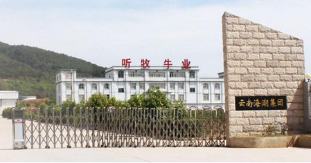 云南海潮集團聽牧肉牛產業(yè)股份有限公司