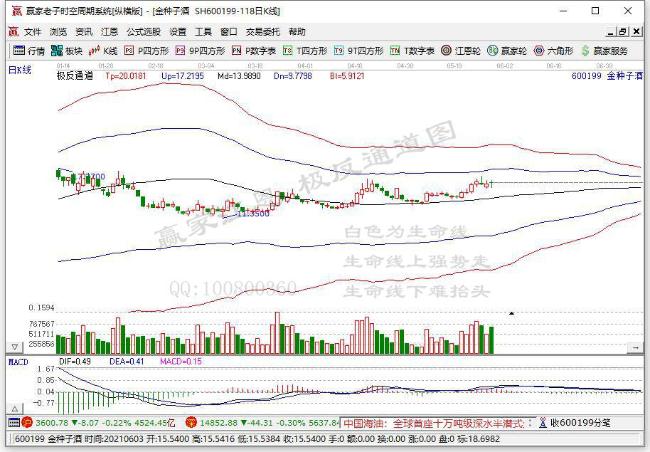 金種子酒 金種子酒