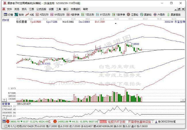 拟认购东宝生物11.05%股份 国恩股份欲切入上游提高协同性