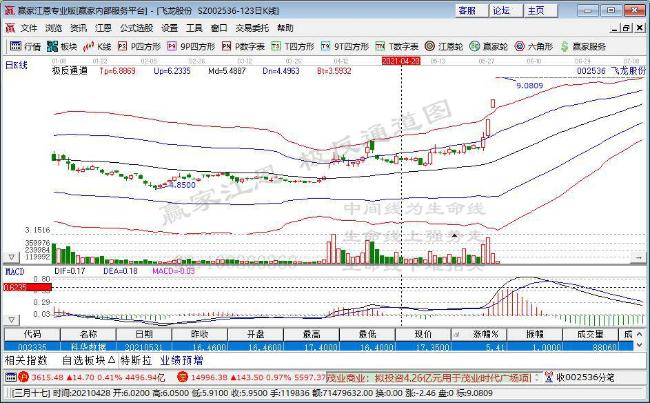 飛龍股份 飛龍股份