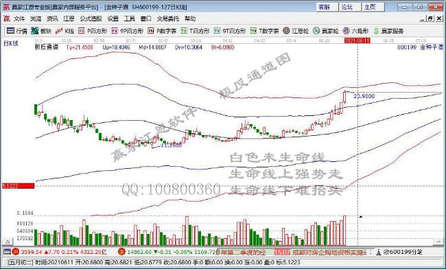 金種子酒 金種子酒