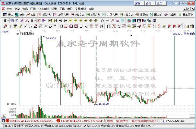 同大股份 同大股份