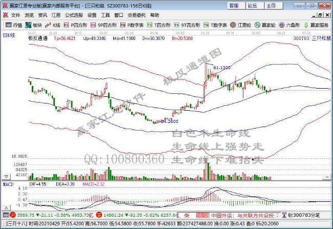 三只松鼠 三只松鼠