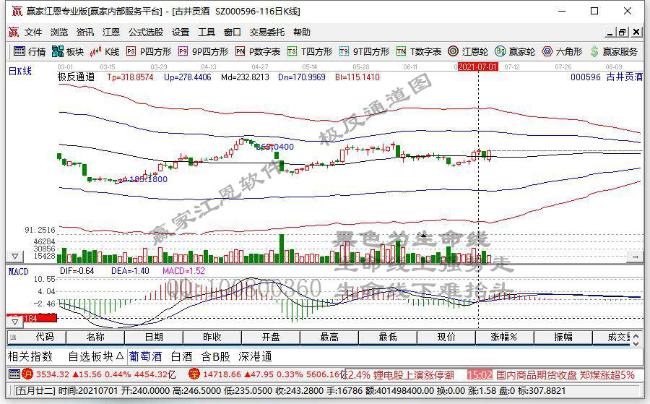 古井貢酒 古井貢酒