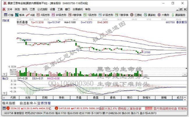 秦安股份 秦安股份