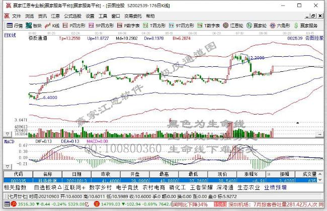 社保基金去年收益率 创10年新高 今年二季度加码科技主题