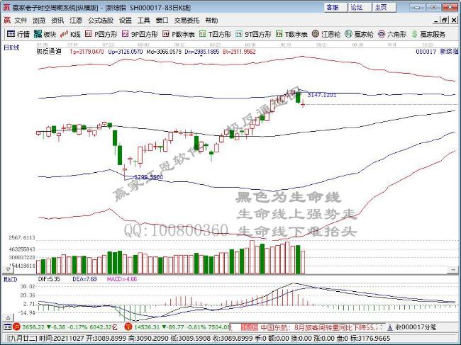 深中華A 深中華A