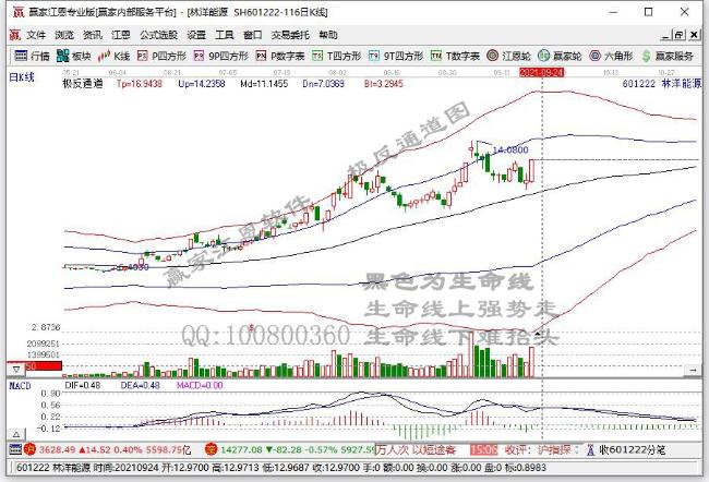 林洋能源 林洋能源