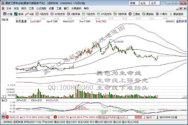 岳陽林紙 岳陽林紙