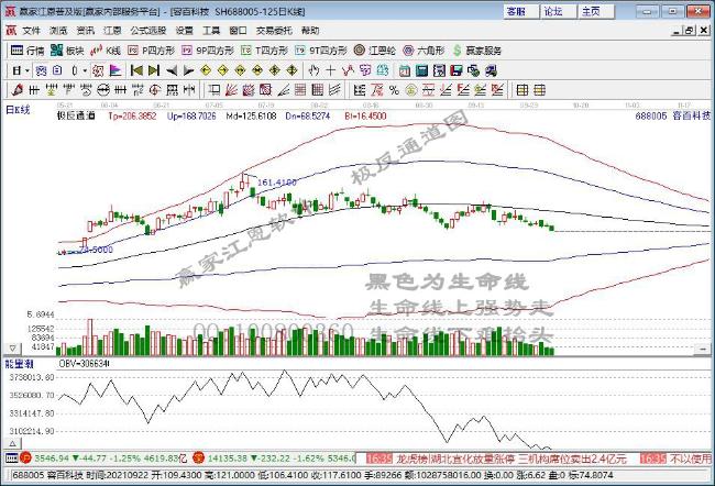 容百科技 容百科技