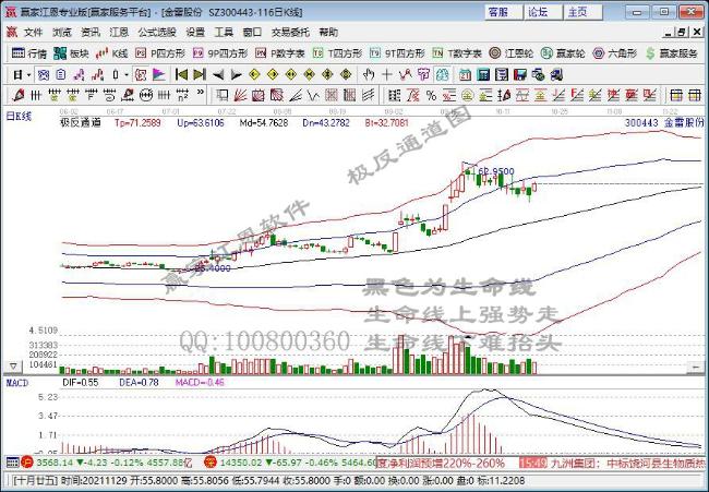 金雷股份 金雷股份